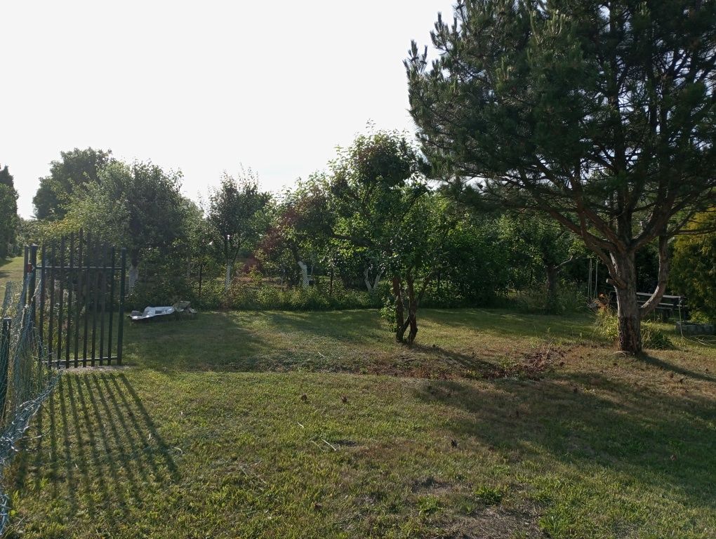 Działka ROD Pruszcz Gdański