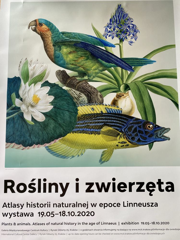 Plakat rośliny i zwierzęta w epoce Linneusza