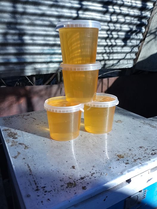 Мед акація натуральний 2025 року з власної пасіки