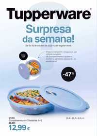 prato com divisórias para microondas tupperware