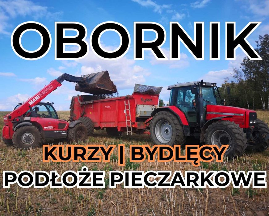 Obornik | kurzy, bydlęcy, podłoże pieczarkowe