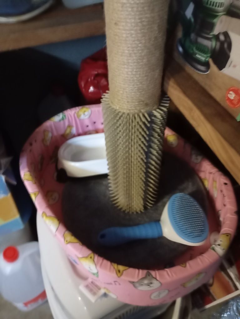 Kit para gatos NOVO