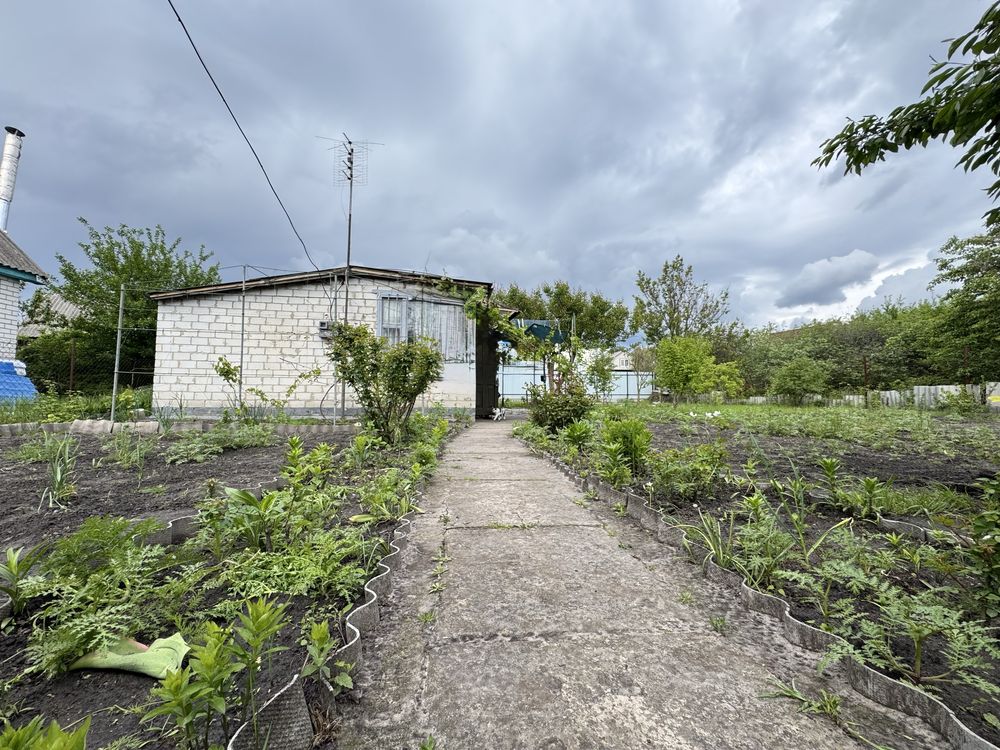 Продам дачний будиночок в садовому товаристві с. Благодатне