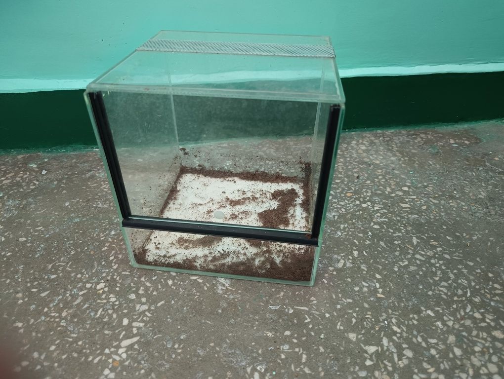 Używane terrarium 20x20x20