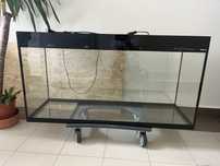 Akwarium Aquael glossy 260 Litrow