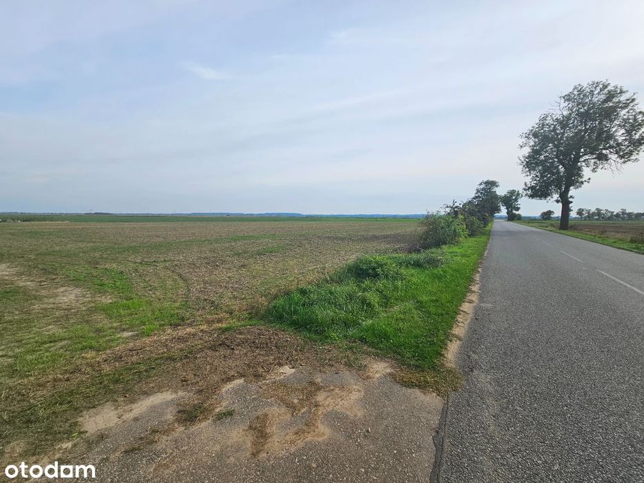 11 działek o pow. od 889mkw do 1.378mkw