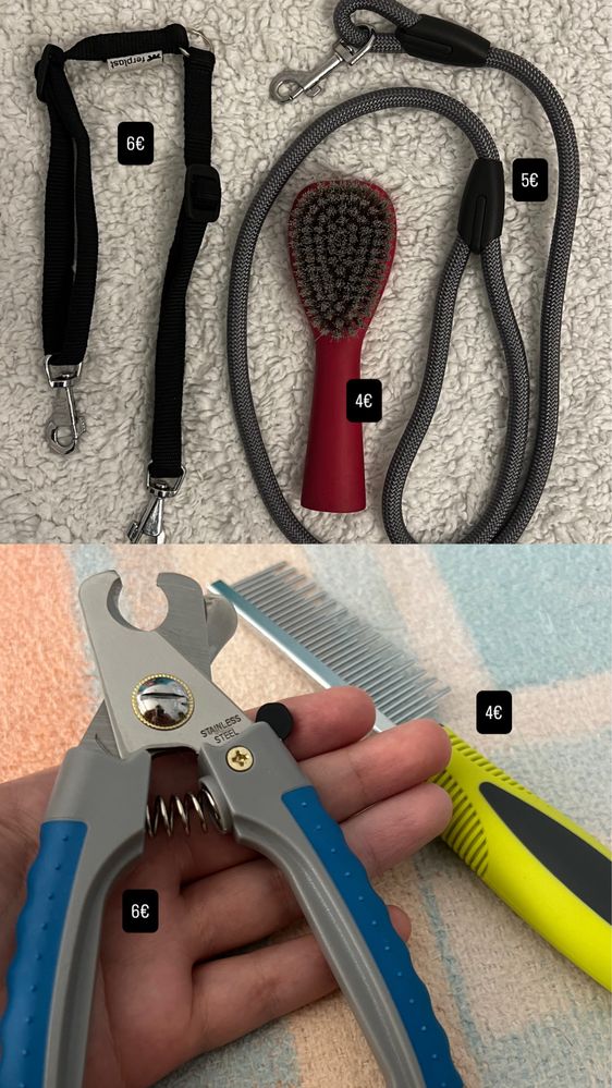 Acessórios para cães