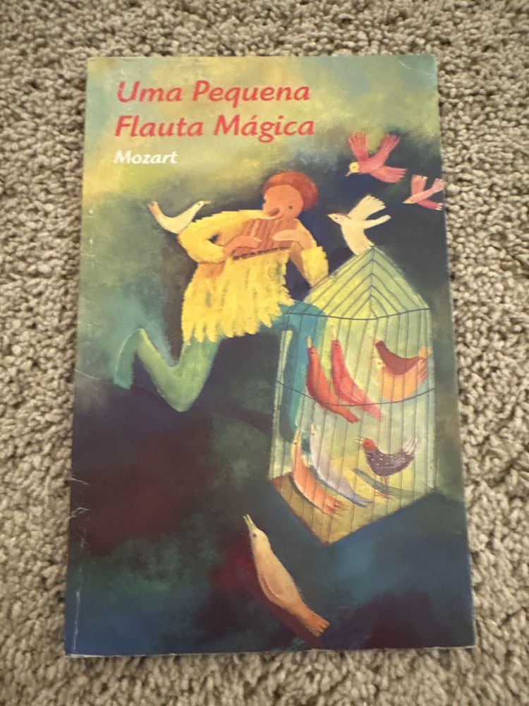 Livro Uma pequena Flauta Magica