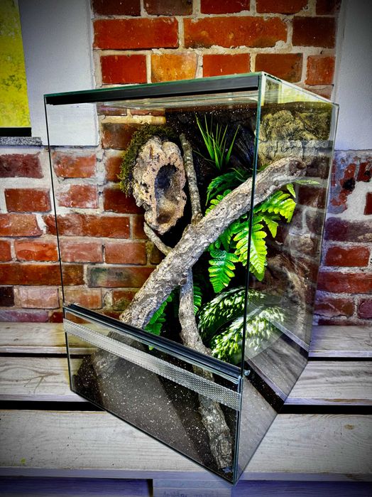 Terrarium szklane z leśnym wystrojem 40x40x60 cm. AlleTerra