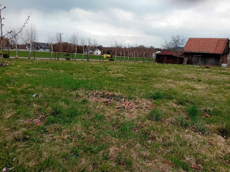 Działka budowlano-usługowa jednorodzinna - Roczyny Modrzewiowa