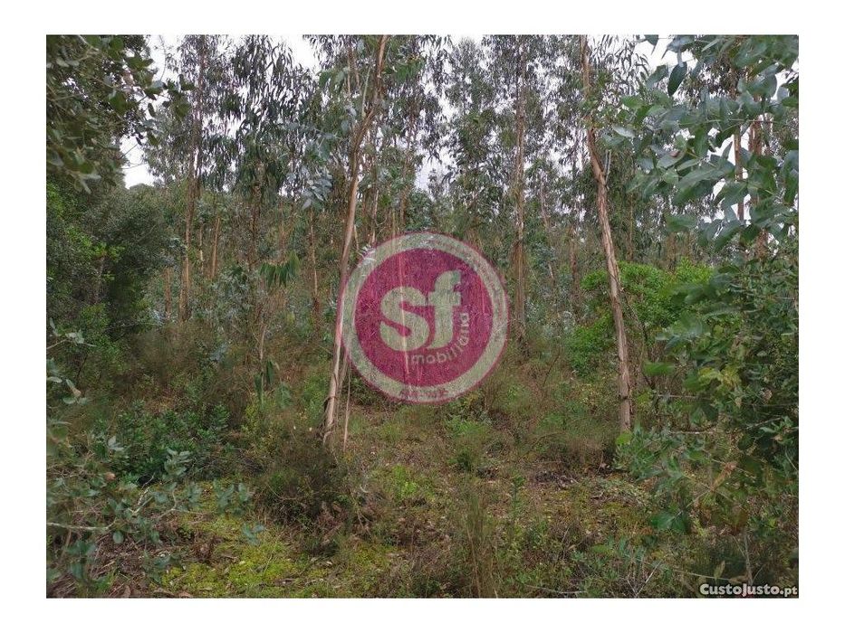 Terreno Rustico para venda !