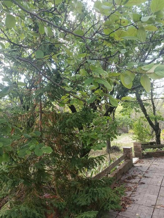 Компактный дом в Светлом на новых дачах