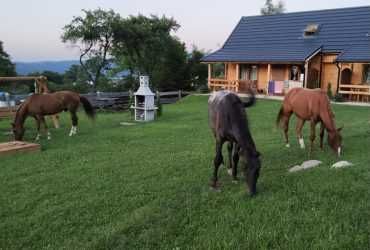 Domek drewniany 10 osobowy w Karpacz -Kowary, sauna, plac zabaw grill