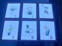 Conjunto 6 quadros mocambique