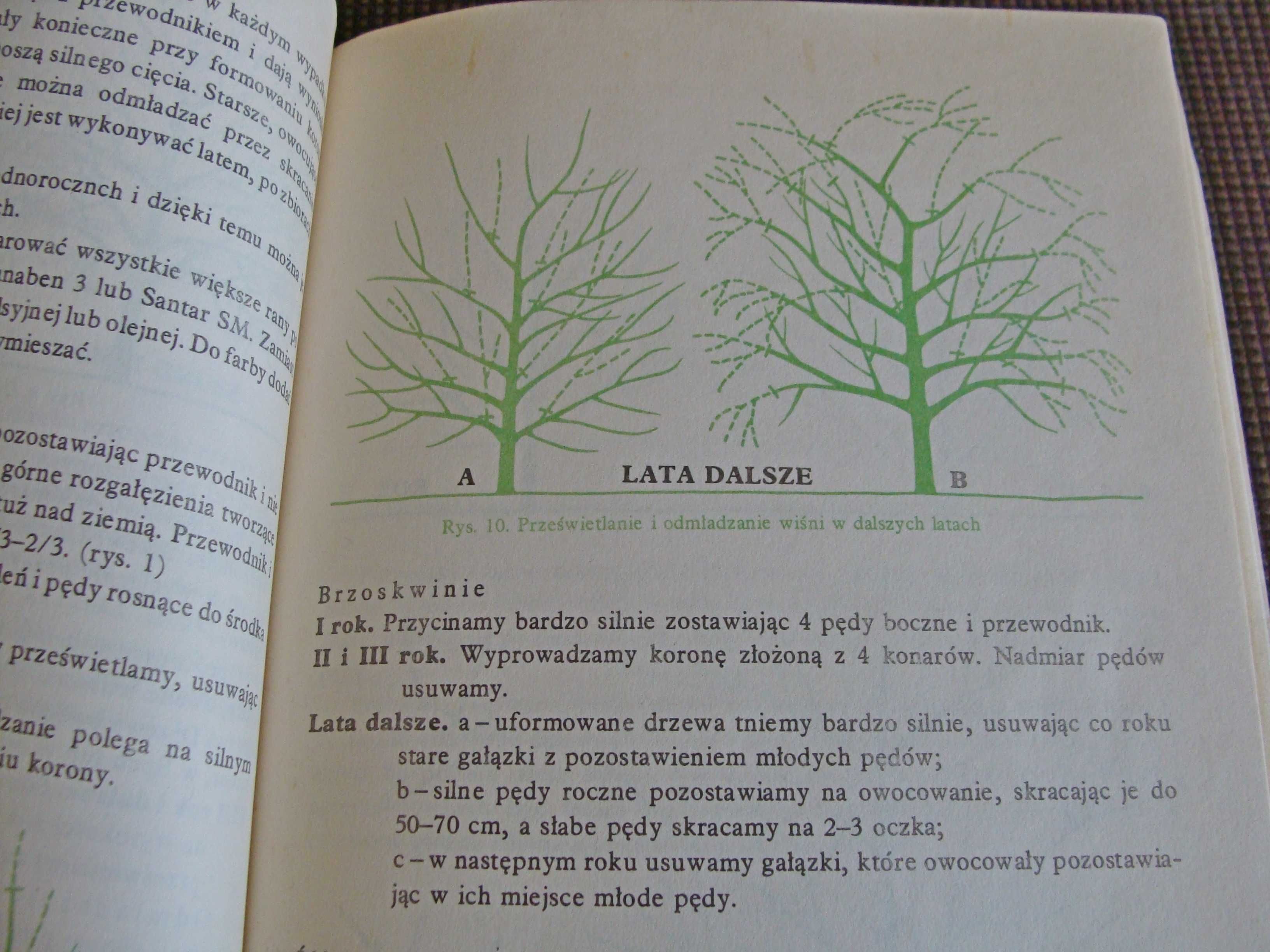 Informator Działkowca 1985r. (proszę czytać opis)