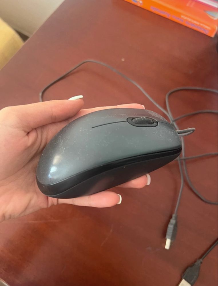 Rato e teclado USB