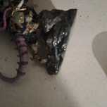 Modele  warhammer  3d
