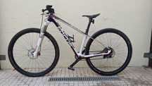 BTT Focus Raven 29 carbono