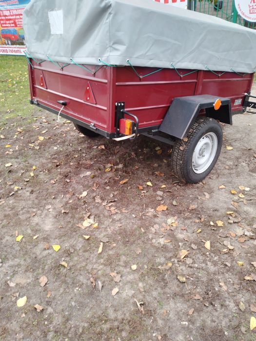 Придбайте Лев 19 *1.3 ,від виробника