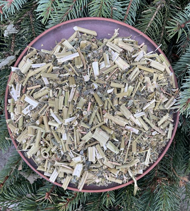 Буркун різаний , донник трава