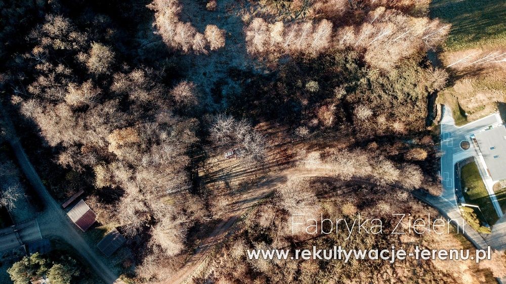 Wycinka zarośli krzaków karczowanie działki czyszczacie terenu mulczer