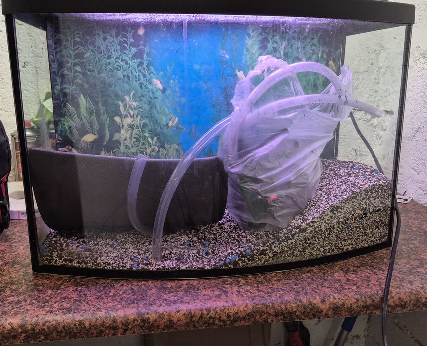 Akwarium z osprzętem