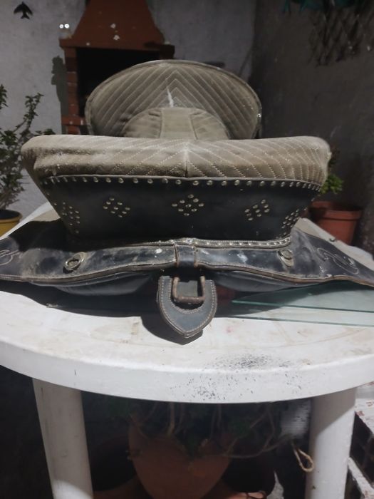 Sela  portuguesa  razoavel