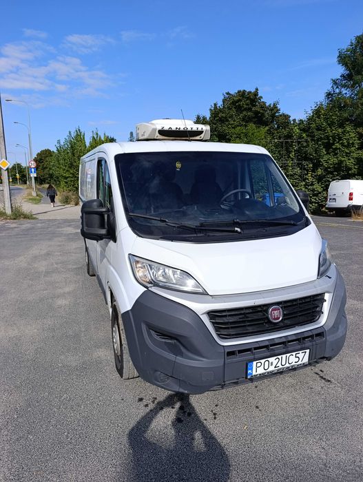Fiat Ducato chłodnia 2,3 130KM 2015r L2H1