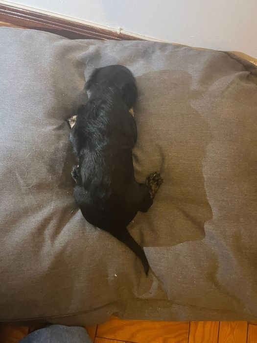 Para doação responsável