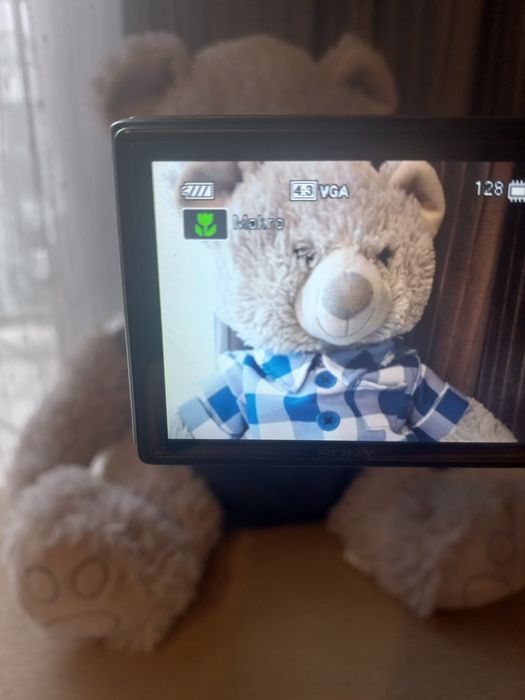 Sony Cyber-shot DSC-W370 używany