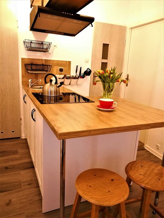 KARp2- Duzy dwuosobowy pokój obok kawiarenki przy parku na BEMOWIE