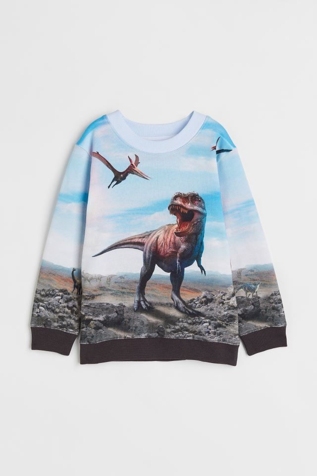 Bluza dinozaury - stan idealny