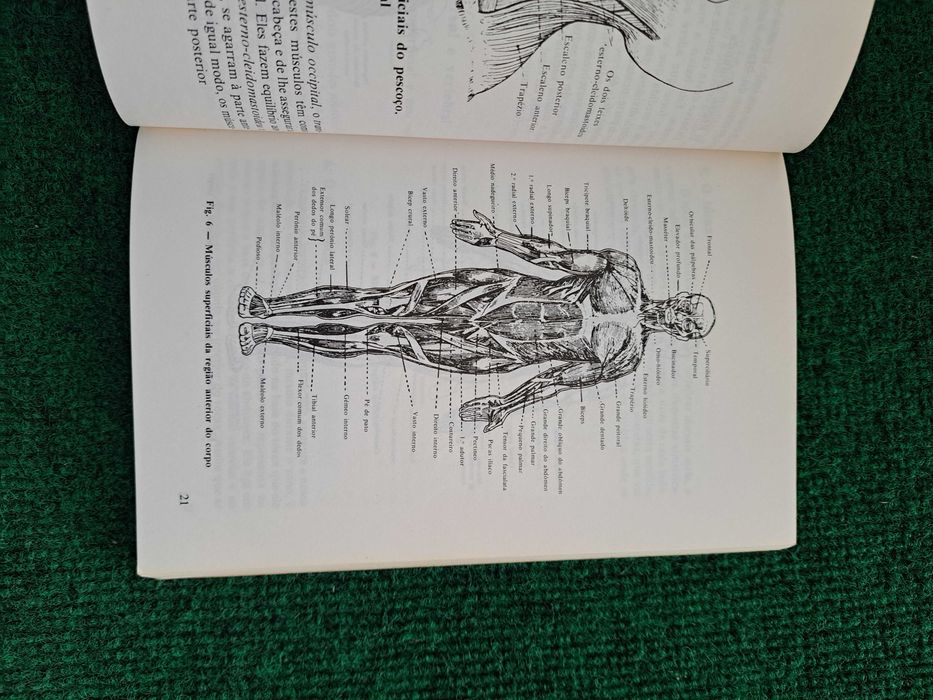 Manual Prático de Massagem - Doutor J. E. Ruffier