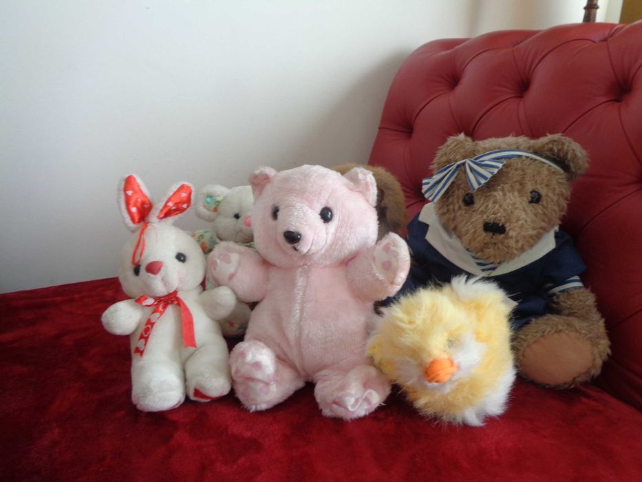 Os amigos Peluches procuram novo quarto