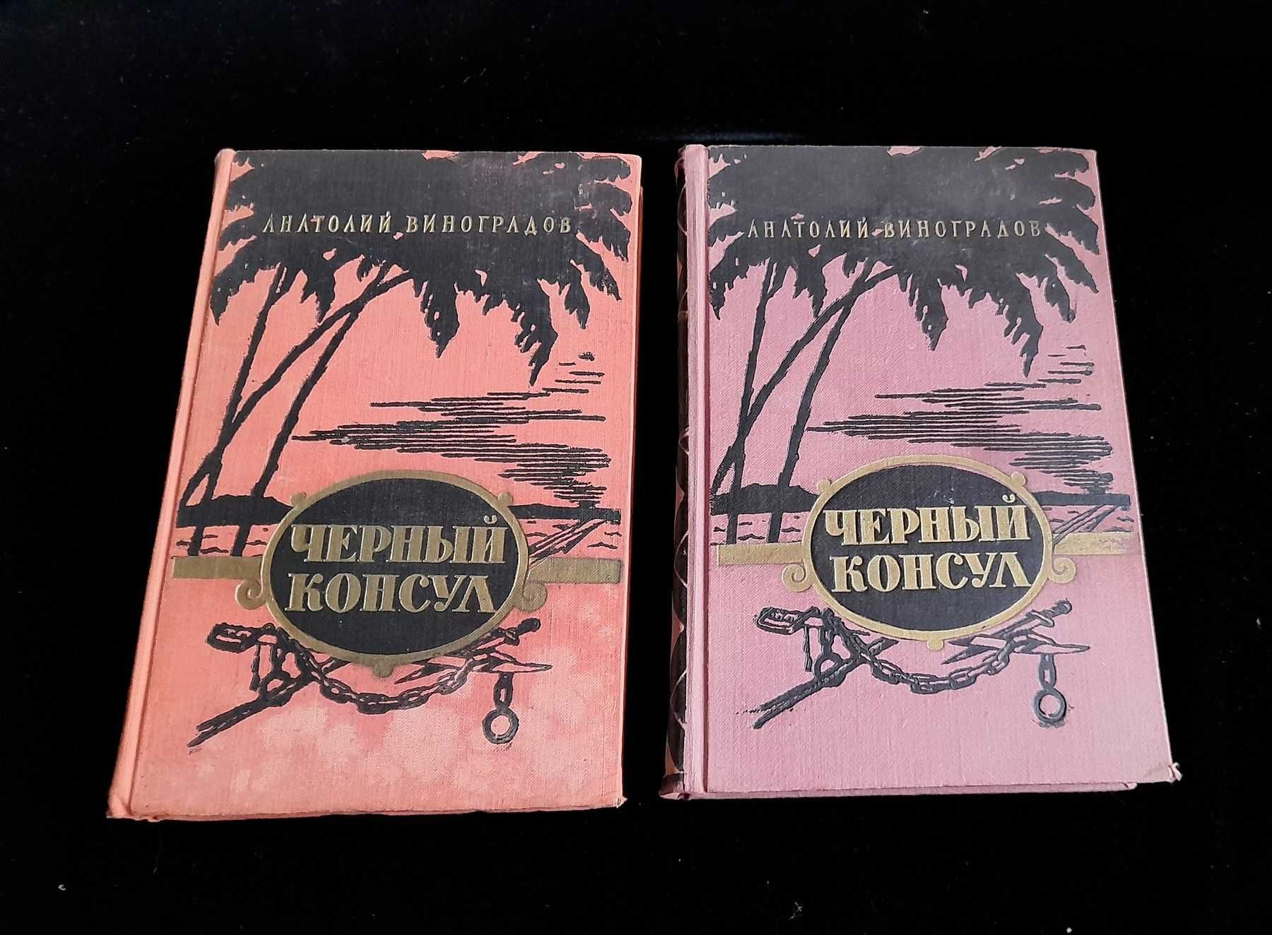 А. Виноградов. Повесть о братьях Тургеневых. Осуждение Паганин