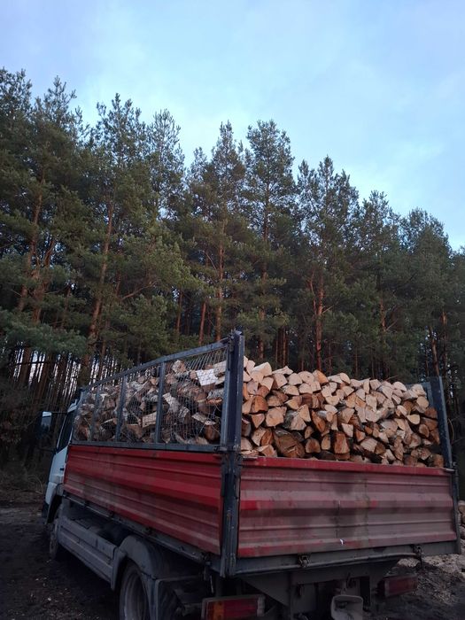Drewno opałowe/kominkowe Transport gratis!