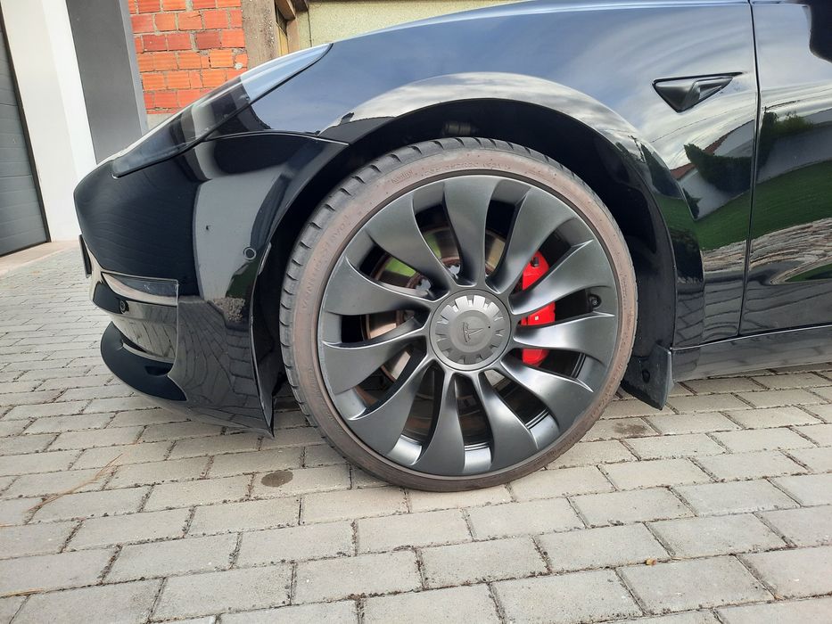 Tesla Model 3 Perfomance 514cv