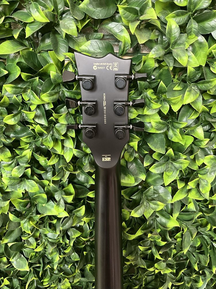 ESP LTD EC-BLACK METAL com Hardcase “Rockase” by  Warwick.