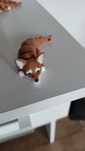 Brelok breloczek pieska chihuahua pies 3d