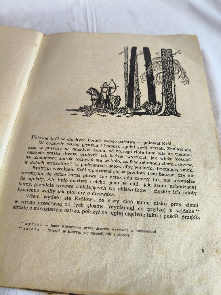 Stara Książka dla dzieci bajka o żelaznym wilku 41
