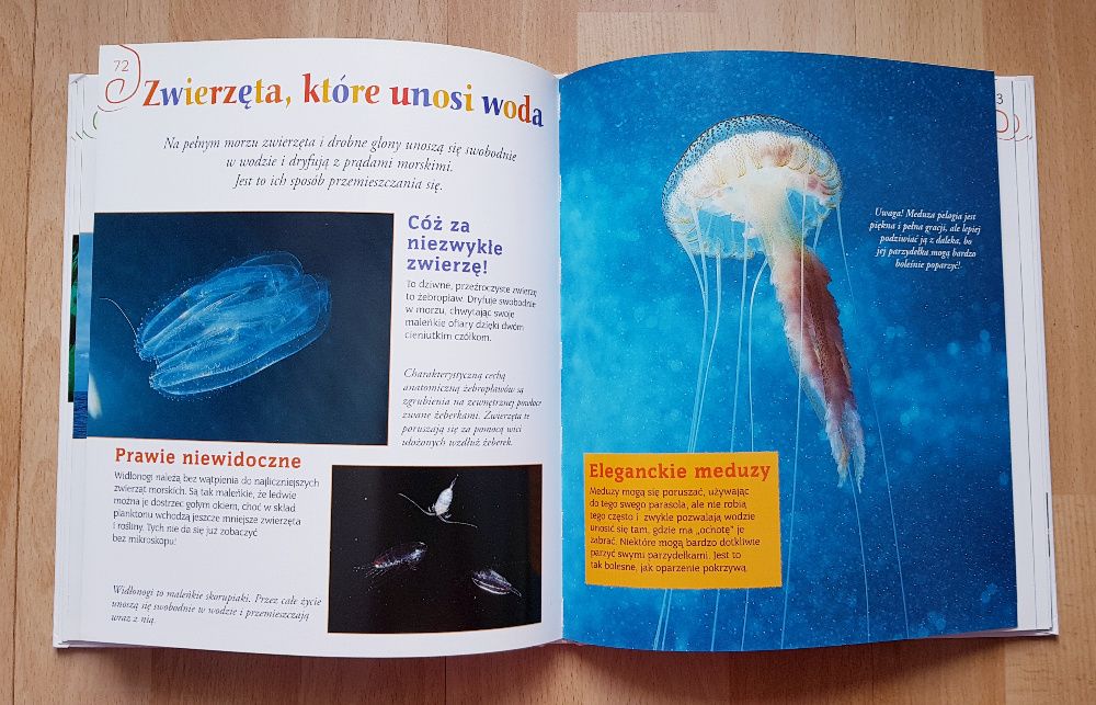 Moja encyklopedia morza