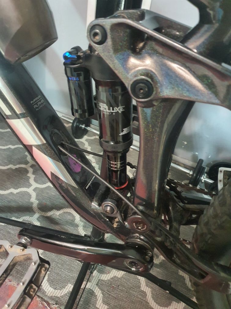 Trek remedy 8 2024