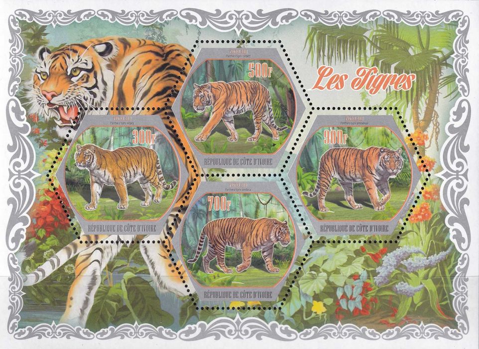 WKS 2018 cena 6,50 zł (2) - tygrysy