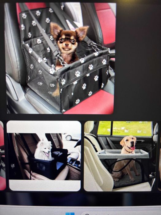 Cesto para trasnporte animais no carro com trela