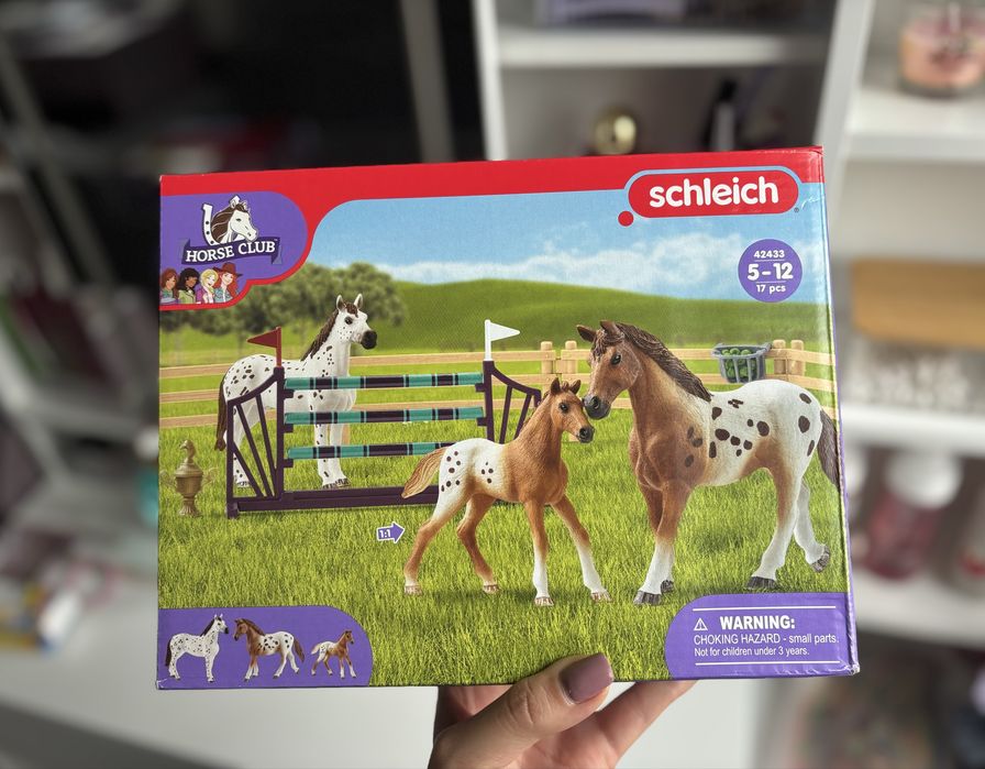 Schleich Zestaw Treningowy Padok Zagroda 42433