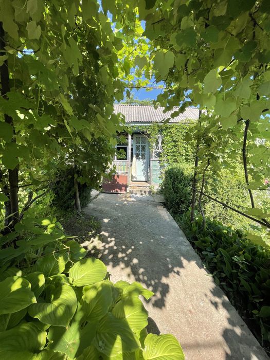 Продам дачу в Канівському заповіднику