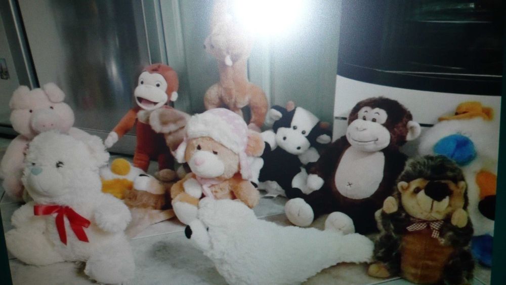 Maskotki mega paka 10  sztuk.