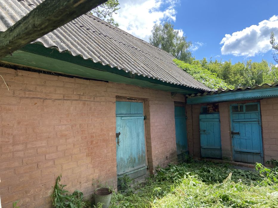 Продам будинок с.Велика Дівиця, Прилуцький район