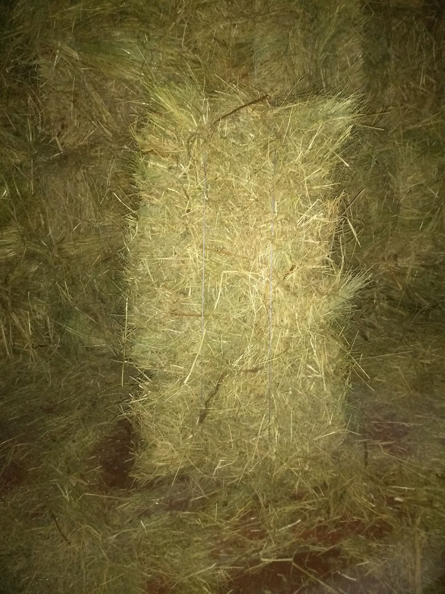 Сіно в тюках лугове