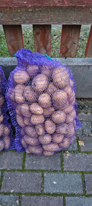 Ziemniaki jadalne bez nawozów, ekologiczne